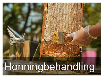 honningbehandling til biavl