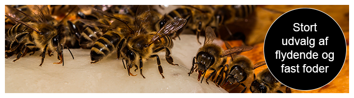flydende og fast foder til biavl